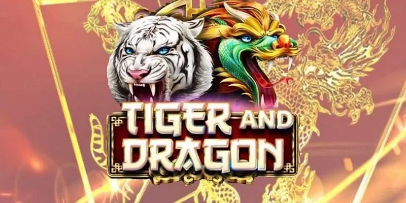 Hội viên cần nắm lòng những thuật ngữ cơ bản Hội viên cần nắm lòng những thuật ngữ cơ bản